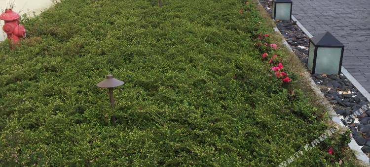 德清觅梦忆潭假日酒店图片