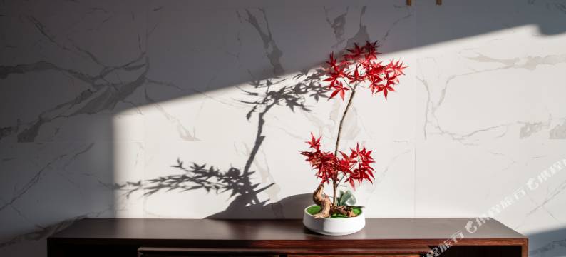 天龙湾曼悦酒店(德保商业中心店)图片