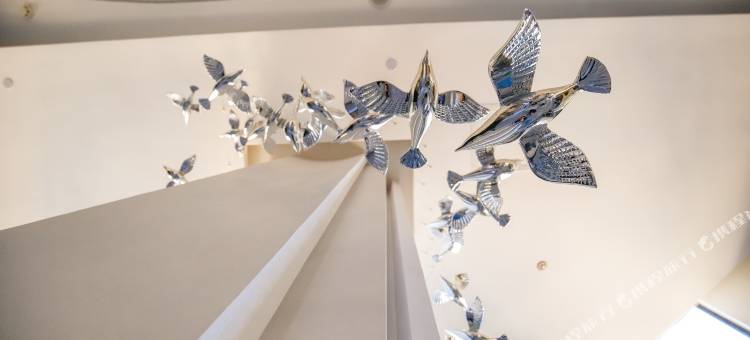 桔子酒店(昆明翠湖店)图片