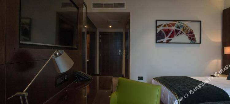 圣乔治酒店-温布里(St George's Hotel - Wembley)图片