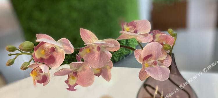 飘HOME杺居酒店(北京国贸大望路地铁站店)图片