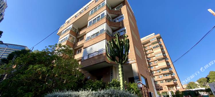索尼莉萨公寓酒店(Sonrisa Apartments)图片