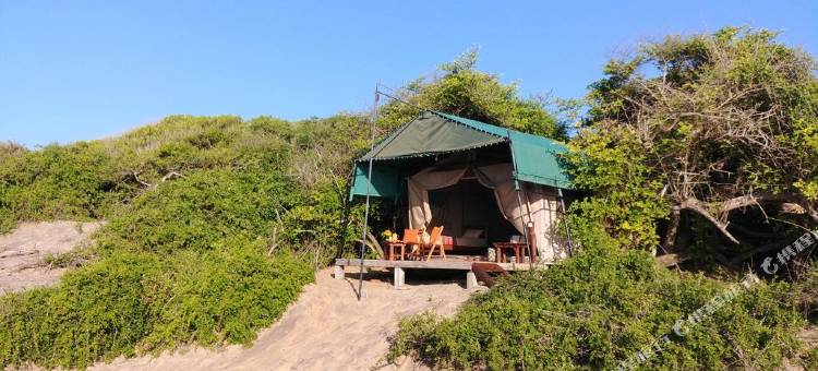 雅拉超越沙丘后方豪华帐篷(Back of Beyond Dune Camp Yala)图片