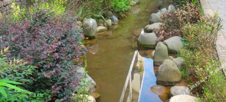 浏阳市鲤鱼塘家庭旅馆图片