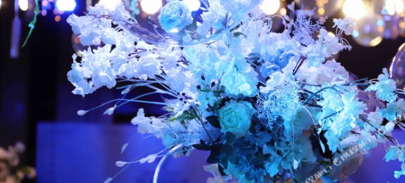 青岛多瑙河国际大酒店图片