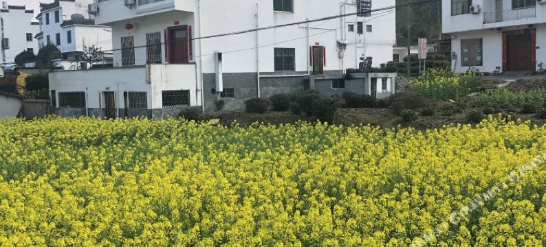 婺源江岭春满园客栈图片