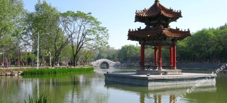 喜鹊主题酒店(郸城人民政府中心汽车站店)图片