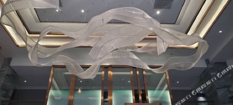 重庆曼德姆酒店(悦来国际会议中心店)图片