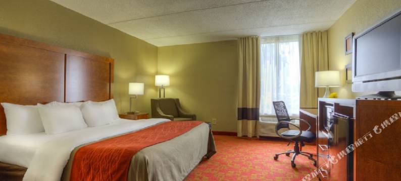 舒适酒店-马修斯地区夏洛特(Comfort Inn Matthews / Charlotte)图片