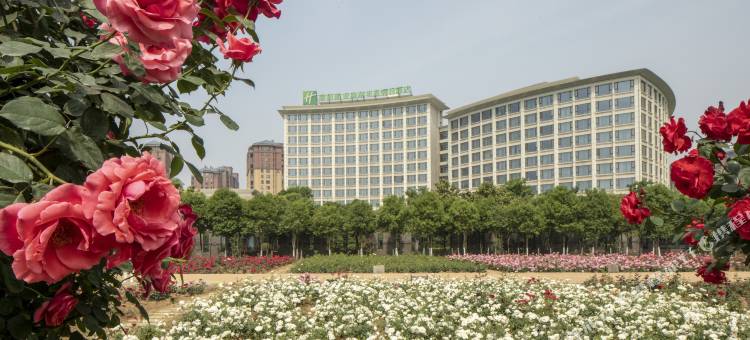 南阳建业森林半岛假日酒店图片