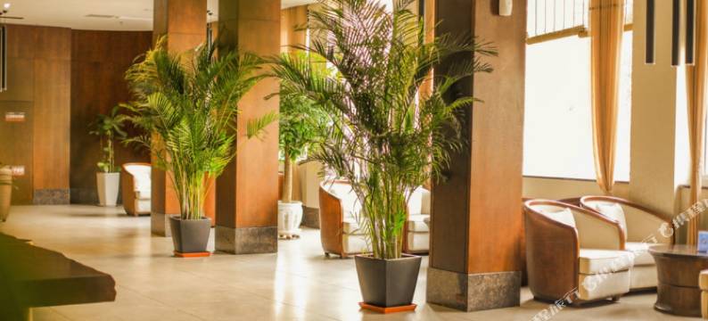 邳州康乐木棉湾酒店(青年东路宏大财富中心店)图片