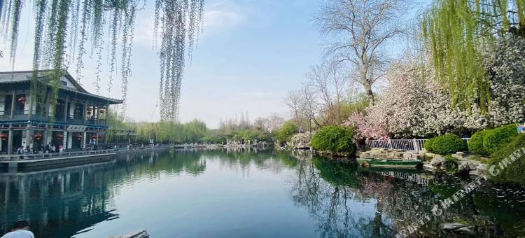 山东丽山大厦图片