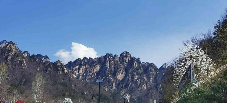 西峡界岭山庄67号店图片