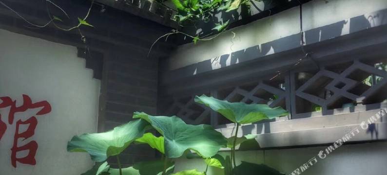 涞水国槐宾馆图片