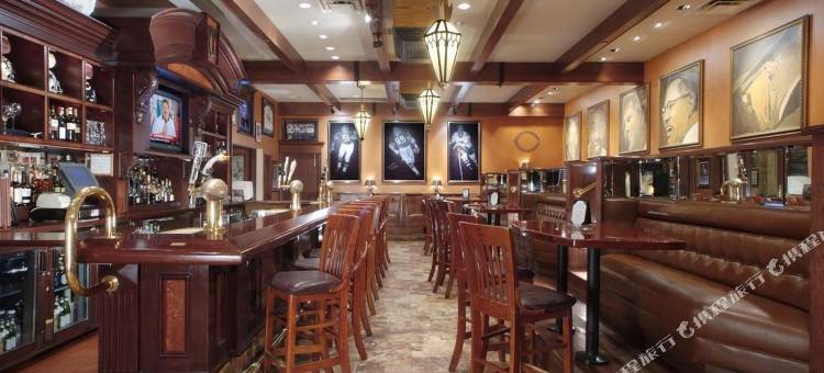 芝加哥赛琳娜酒店(Selina Chicago)图片