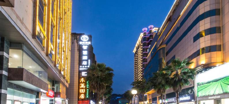 柳州普琳西丝智慧酒店(五星步行街青云市场店)图片