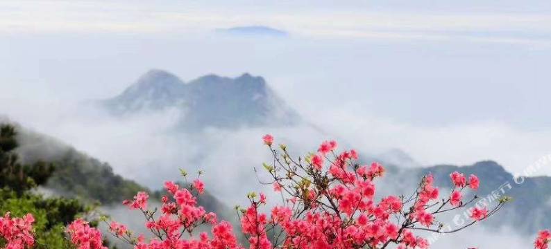 天堂寨天顺度假山庄图片