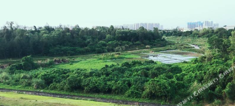 海口星花青年旅舍图片