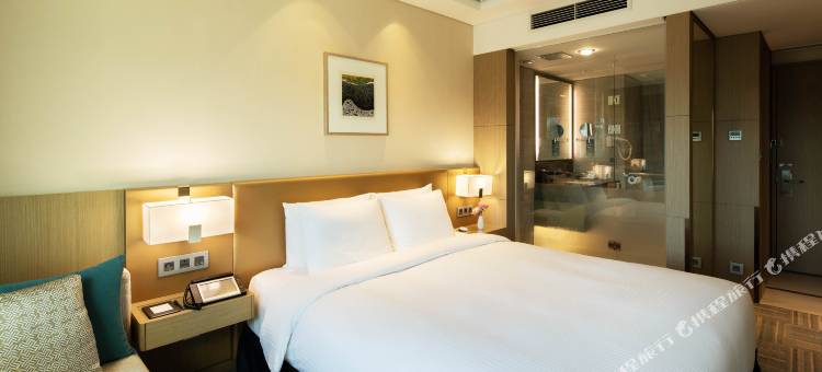 首尔江南大使诺富特酒店(Novotel Ambassador Seoul Gangnam)图片