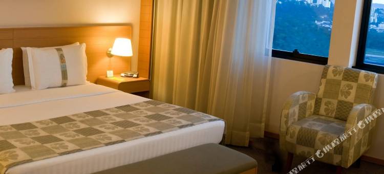 安海比公园假日酒店(Holiday Inn Parque Anhembi)图片