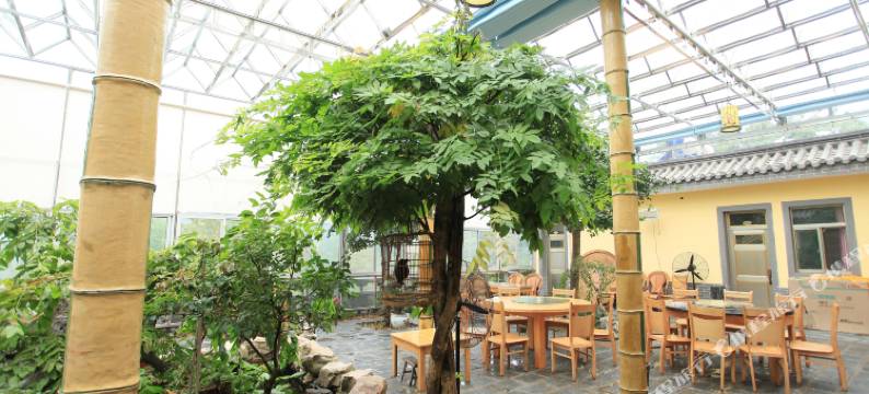 连云港九龙桥生态酒店图片