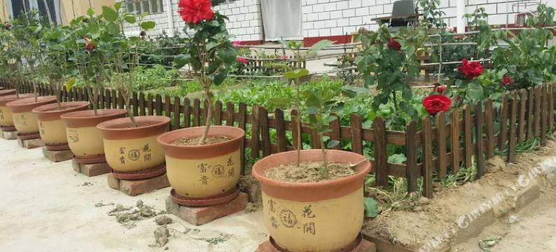 涞源新晨农家院图片