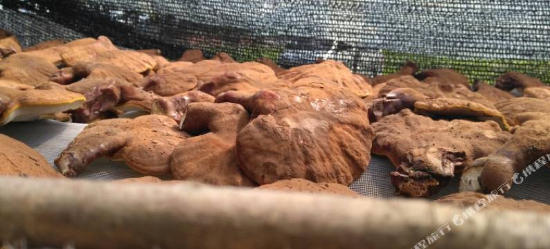 漠河祥合宾馆图片