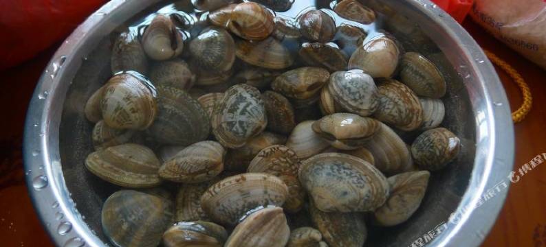 乐亭18号农家院图片