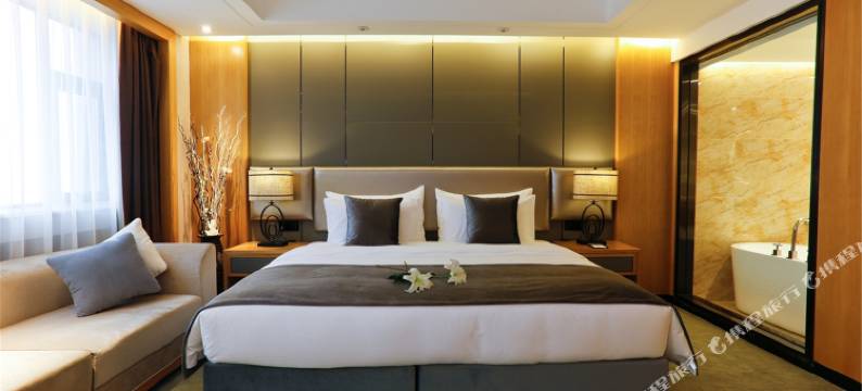 郑州新亚国际大酒店(郑州二七广场大卫城店)图片