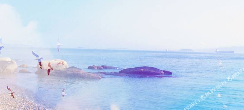 厦门未见山海民宿图片