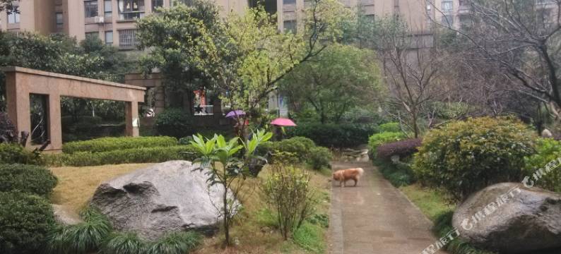 武汉拾光旅途青年旅舍图片