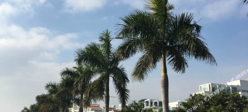 厦门印厦(曾厝垵西边店)图片