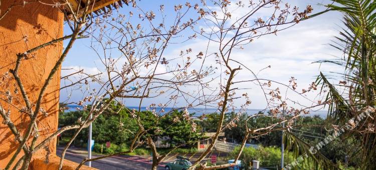 屏东阿飞冲浪旅店(5馆)图片