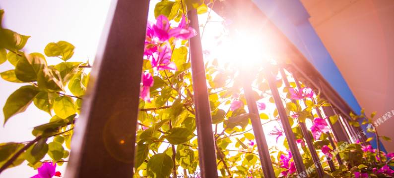 润光旅租(三亚机场店)图片