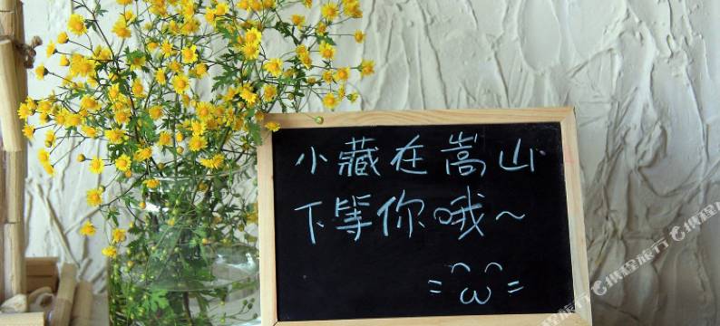 登封藏经阁青年客栈图片