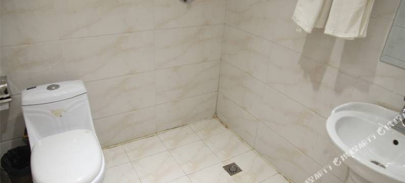 大同延伸宾馆(大同古城店)图片