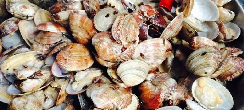 北戴河刘振坤主题客栈图片