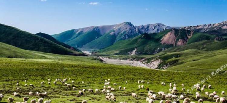 祁连盛唐翠光饭店图片