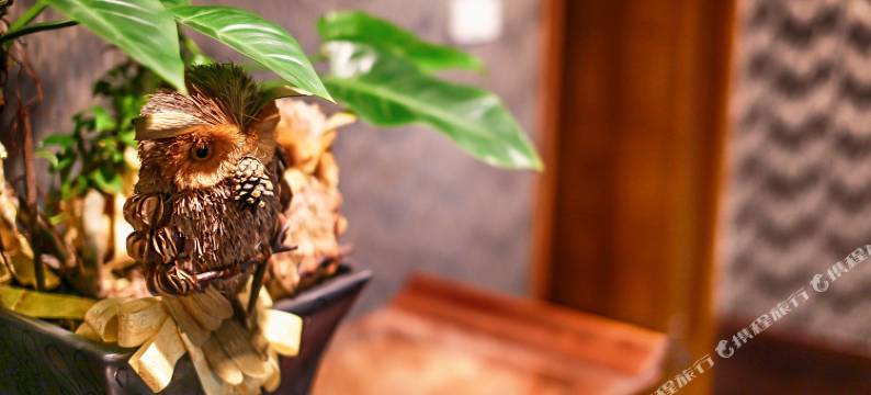 台北采舍精品旅馆图片