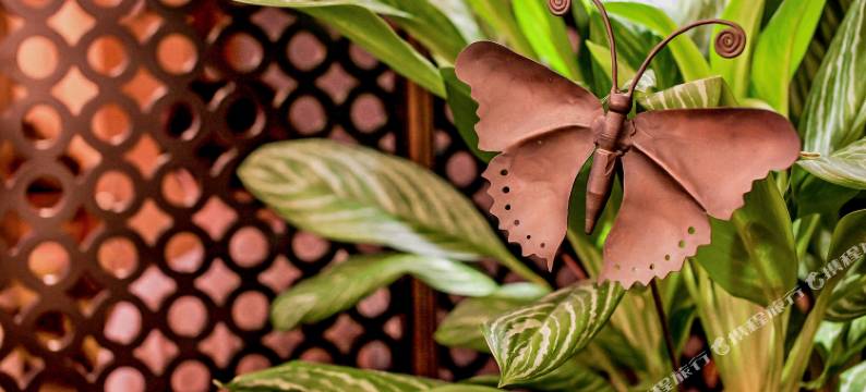 台北采舍精品旅馆图片