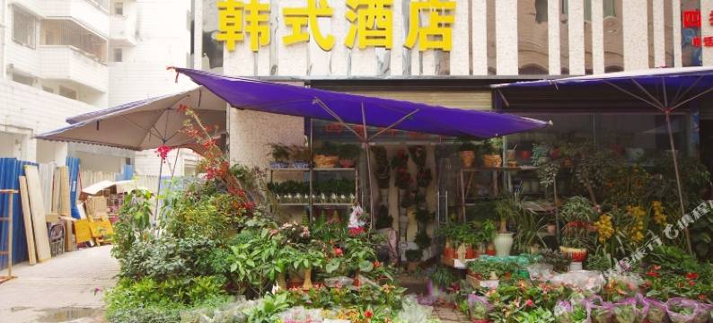 绵阳韩式公寓图片