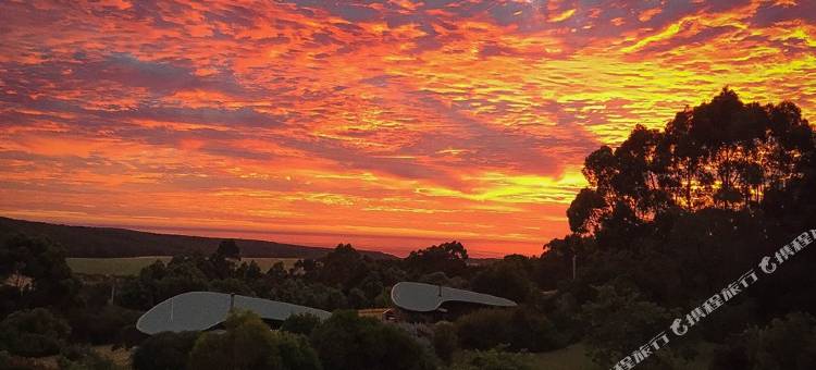 大洋路住宿飞镖酒店(The Boomerangs at Johanna on the Great Ocean Road)图片
