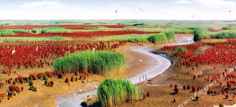 蓝海大饭店(东营东城府前大街店)图片