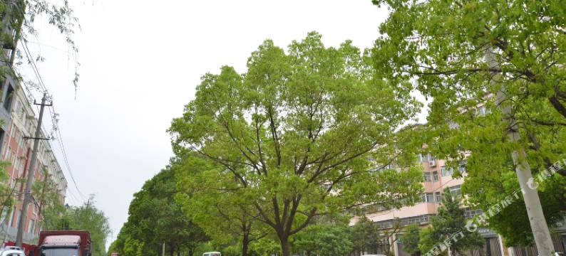 西平丽隆宾馆图片