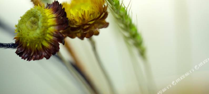 蜀南竹海竹雅居酒店图片