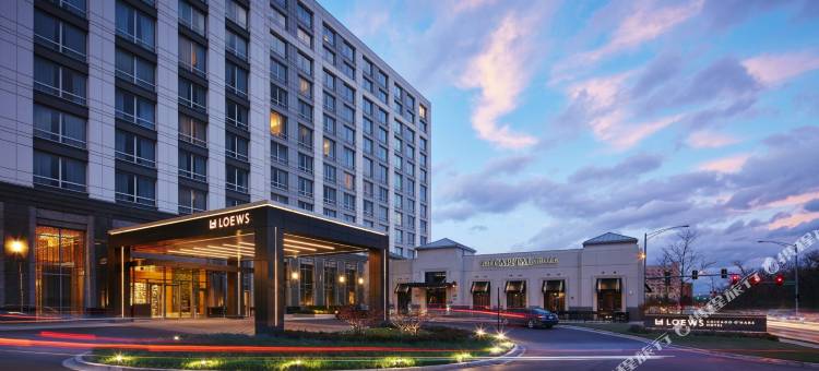 洛伊斯芝加哥奥黑尔酒店(Loews Chicago O'Hare Hotel)图片