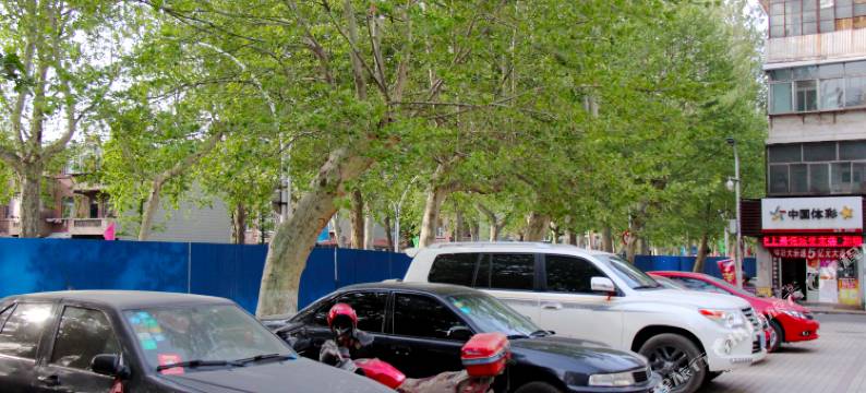 淄博希悦精品酒店图片