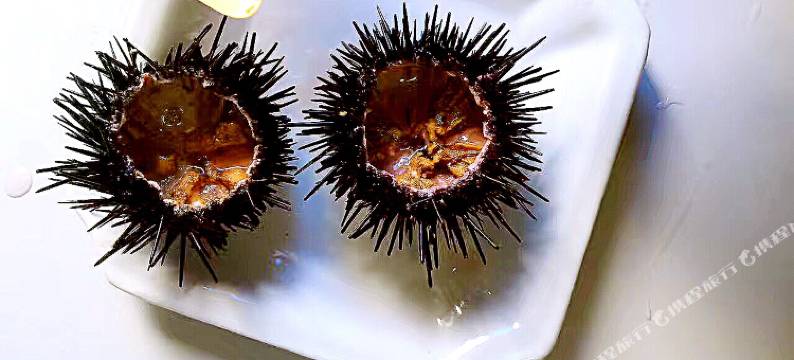 舟山东极东福山久别重逢精品民宿图片