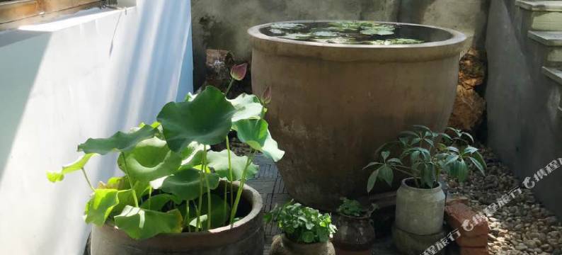 杭州龙门遇·望溪山庄图片