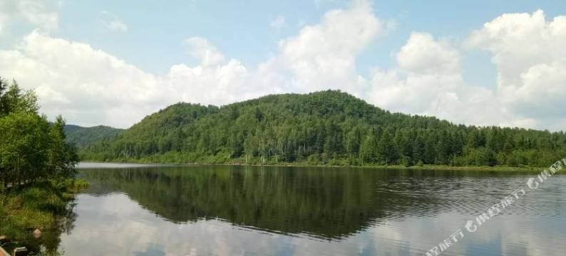 汤旺亚欧巄城堡酒店图片